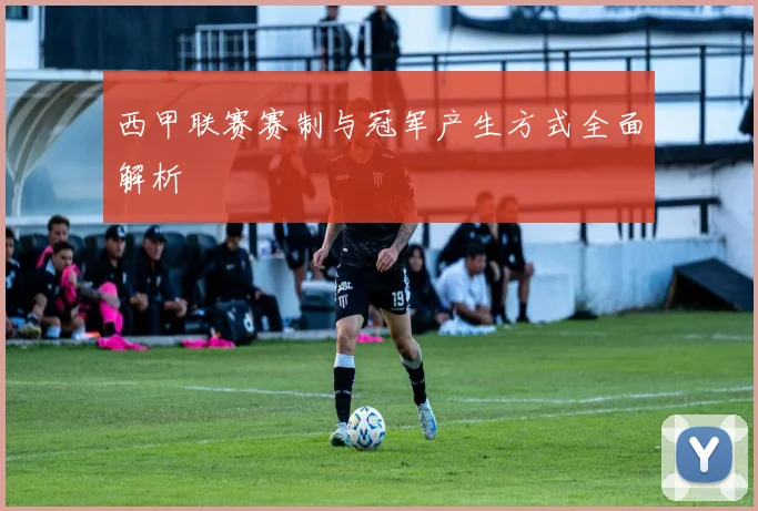 西甲联赛赛制与冠军产生方式全面解析