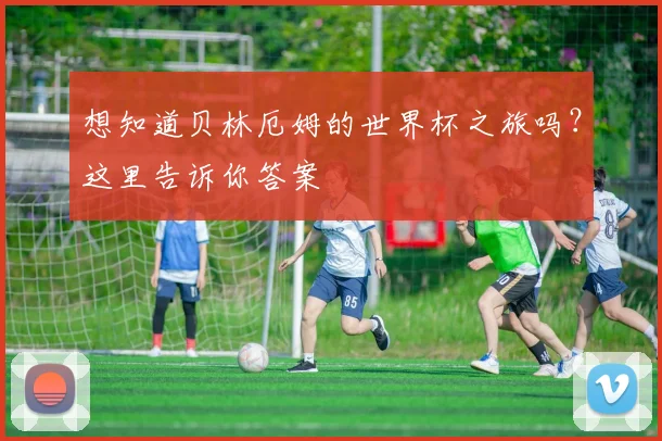 想知道贝林厄姆的世界杯之旅吗？这里告诉你答案