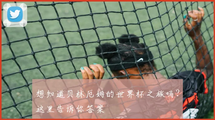 想知道贝林厄姆的世界杯之旅吗？这里告诉你答案